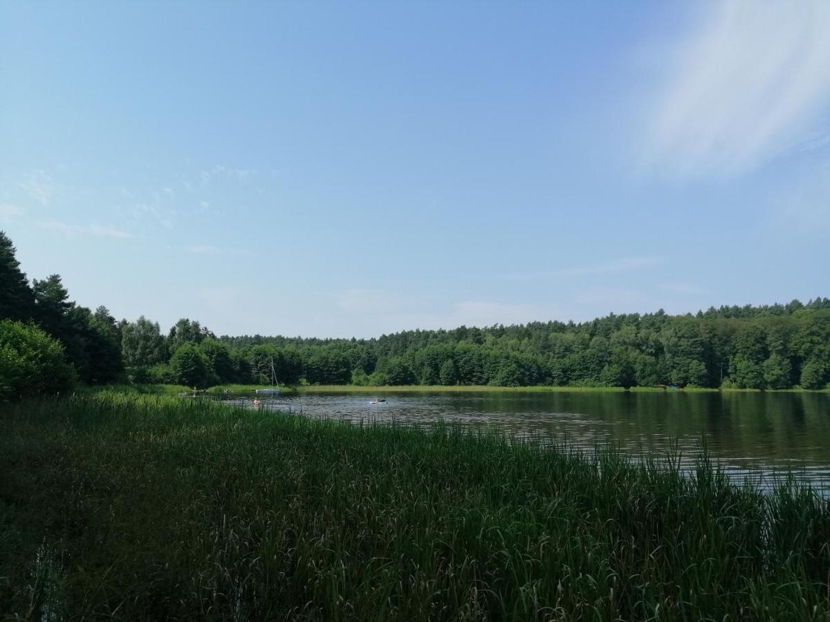 Holma *** * Zbychowo